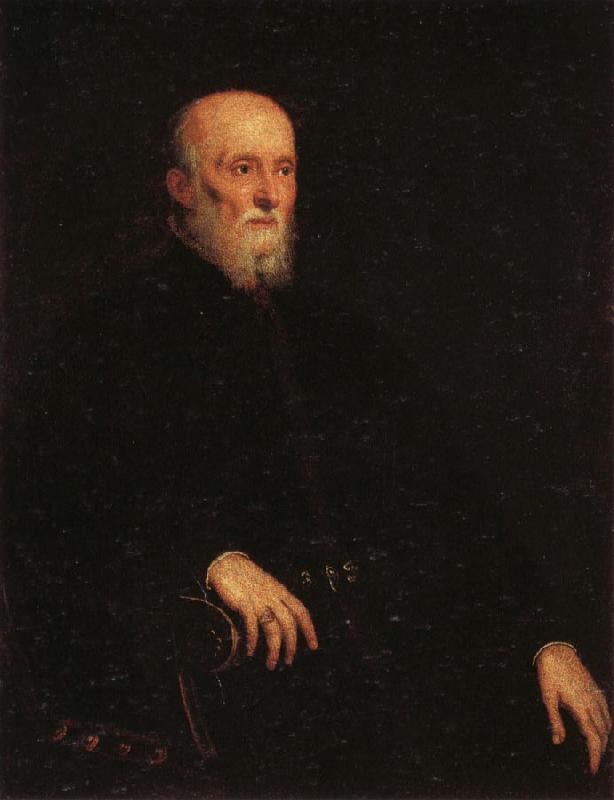 Jacopo Tintoretto Portrati of Alvise Cornaro oil painting picture